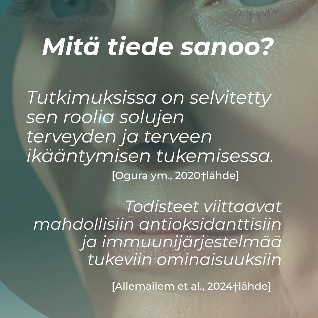 Tuotekuva 5