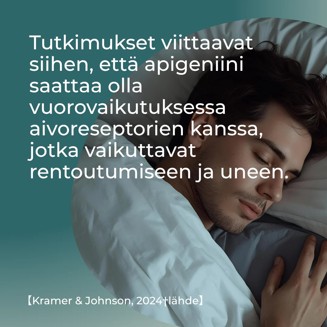 Tuotekuva 6