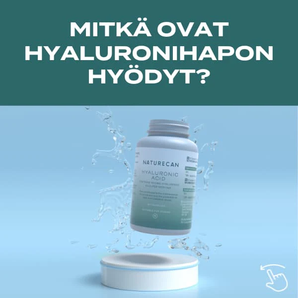 Pikkukuva 2