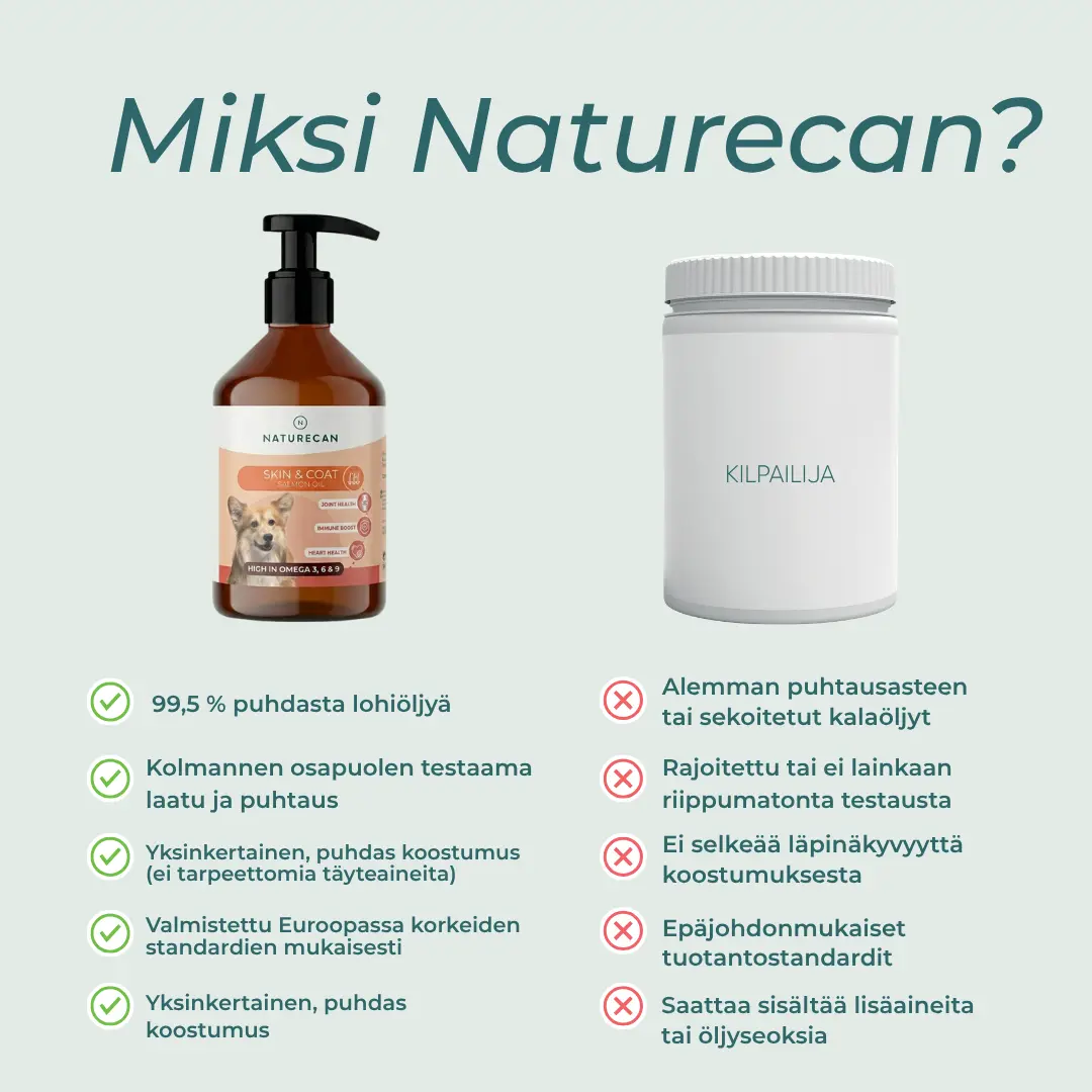 Tuotekuva 6