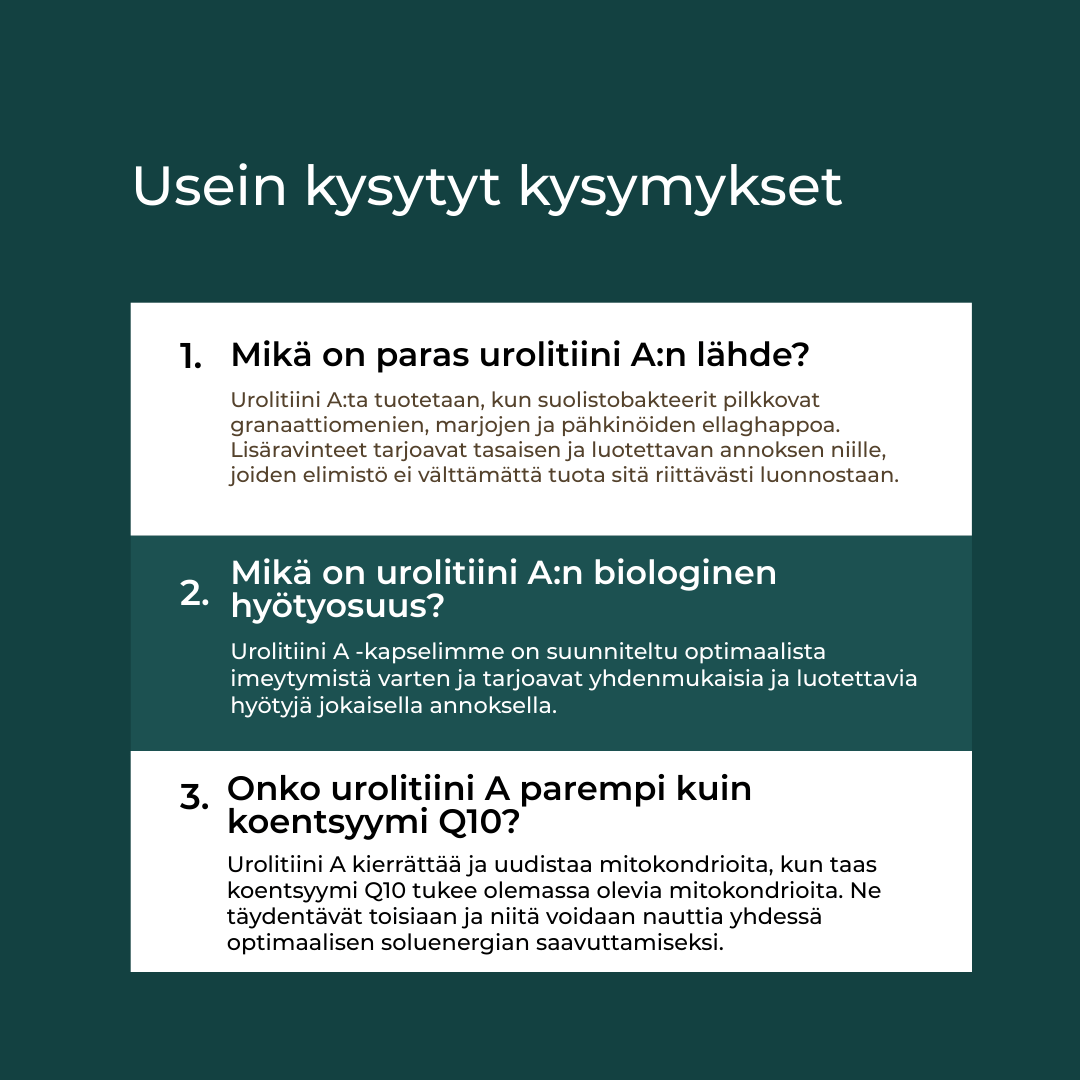 Tuotekuva 8