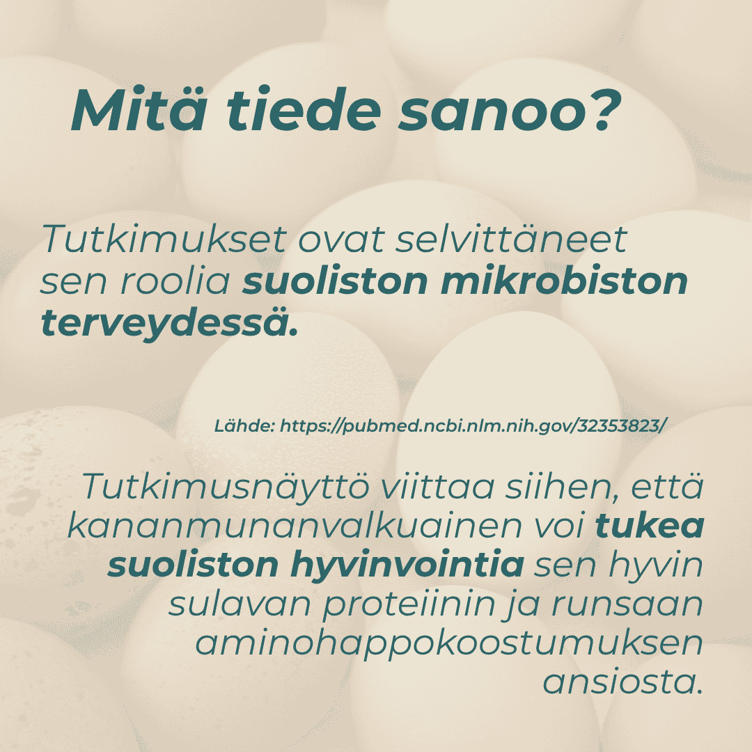 Tuotekuva 4
